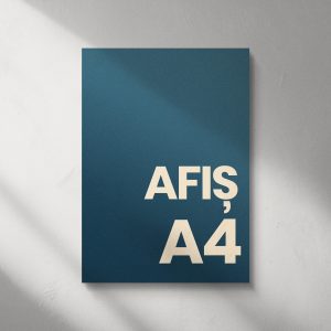 Afise - imagine 4